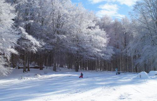 La Lamponaia - Foto 34