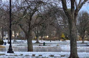 Serene Haven of Tranquility - Foto 22