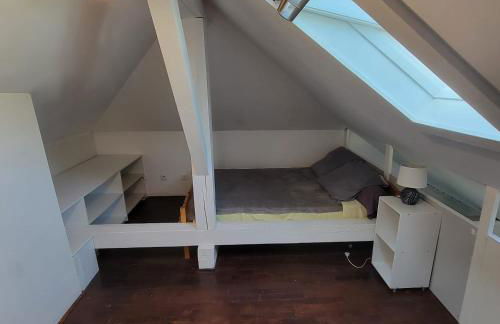 Au bord du Foron - Foto 21