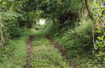 Vivienda Vacacional Ángel Inguanzo - Foto 66