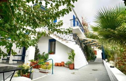 Plumeria Flowery - Foto 24