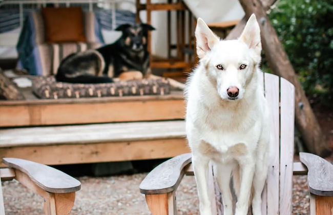 Smith Lake Farm - Foto 12