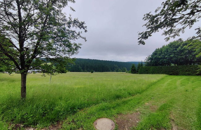 Pet-friendly Getaway - Photo 29