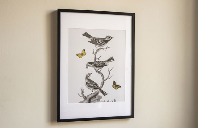 Oxford - New Town Apartment - Foto 14