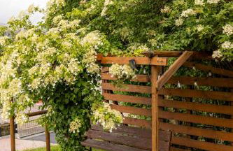 St Andrews House - Foto 29