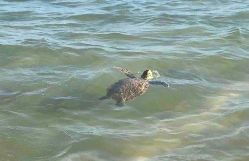 Apartamento Peracanga com Wi-Fi - Foto 46