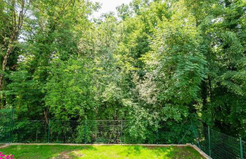 Birdsong Getaway a peaceful, pet-friendly base for exploring - Foto 19