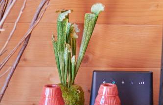 Montargil Lakeside Bliss, by TimeCooler - Foto 37