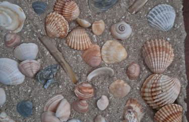 Ferienwohnung Butendiek - Foto 14