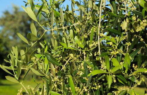 Casa Maria - Foto 16