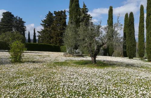 Agriturismo La Scarpaia - Foto 28