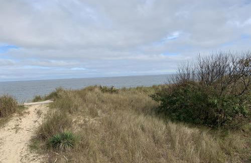 Beach Front on the Bay on the Dunes bungalow - Photo 5