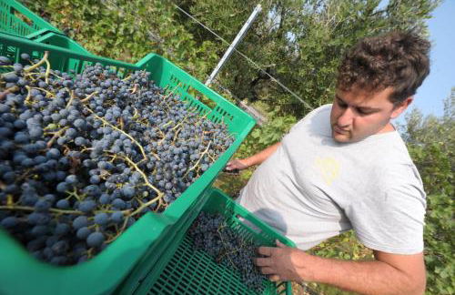 Agriturismo Sol De Montalto - Photo 45