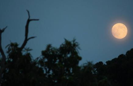 Tsagarada Stone House 1898 - Foto 61