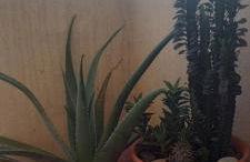 Casa Dolores - Foto 18