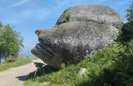 Dona Irene AL - Foto 79