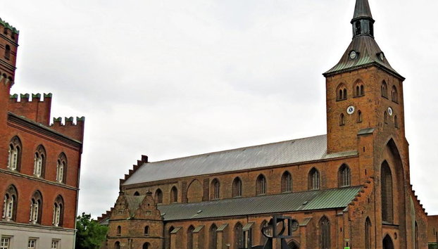 Lo mejor de la ciudad de Odense - Tour privado a pie - Foto 3