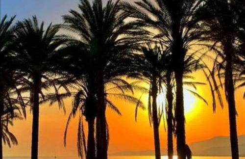 La Buganvilla Beach House - Foto 47