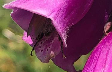 Lynwood House Self Contained Studio - Photo 6