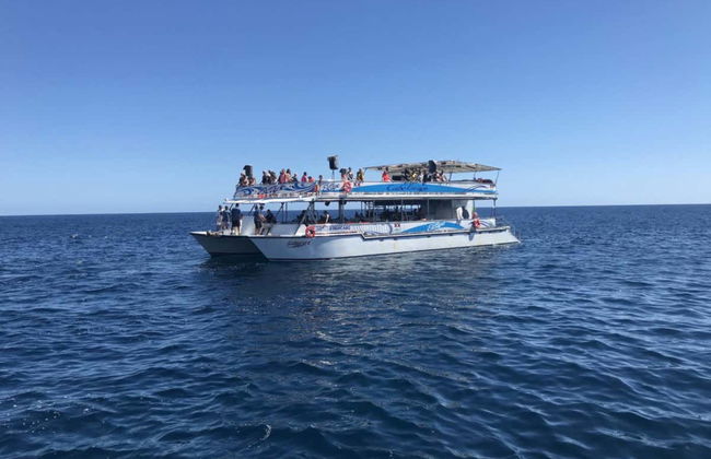 Balade en catamaran dans le golfe de Californie - Photo 3