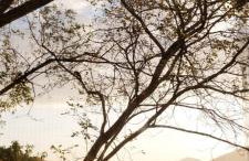 Loft Refugio na Serra - Foto 1