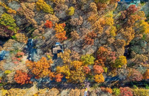 Vaulted Pines Lodge Hot Tub Game Room - Foto 37