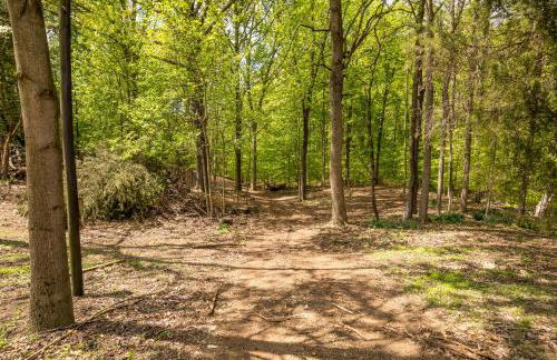 Watch Deer from a Farm Cottage - Foto 59