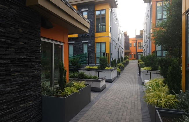 Signature Airport Proximity suite - Photo 12