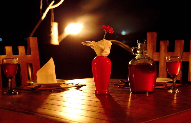 Naturehawks Safari Villa Yala - Foto 27