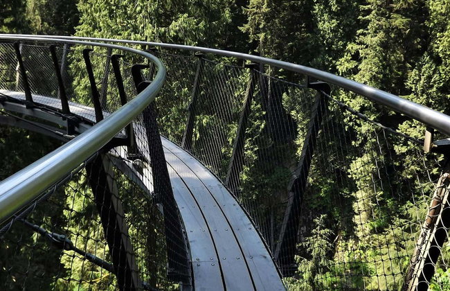 Capilano Suspension Bridge Park Tickets - Photo 3