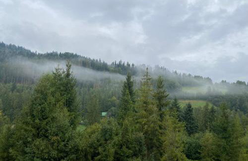 LEŚNE ZACISZE Wisła - Jacuzzi, Bacówka, Niesamowite Widoki - Foto 39