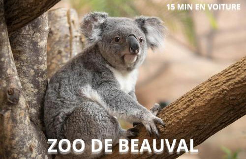 LaCartePostale - Foto 24