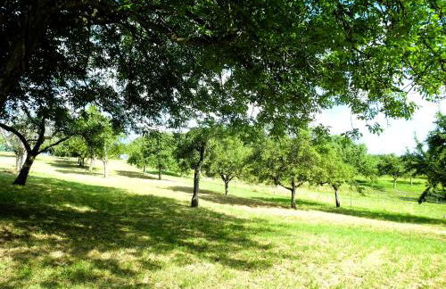 Apartment am Fuchseck - Foto 11