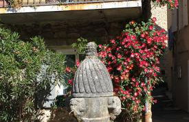 Entre couleurs et senteurs - Foto 29