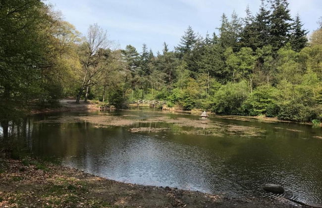 Superb Villa in the Woods of Gaasterland With Wifi and Fireplace - Foto 28