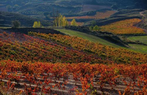 Vía Nájera - Foto 15