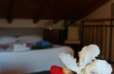 La Calletta - Foto 36