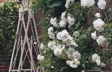 Luxury 2 bed Georgian Townhouse, Old Portsmouth - Foto 12