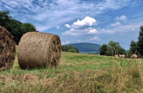 Ferienhaus Birx - Foto 60