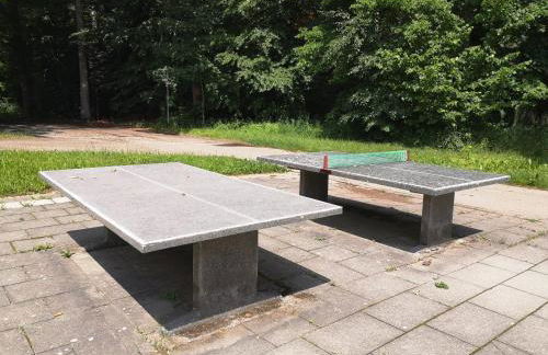 Nurdachhaus Marie im Nordschwarzwald - Foto 41