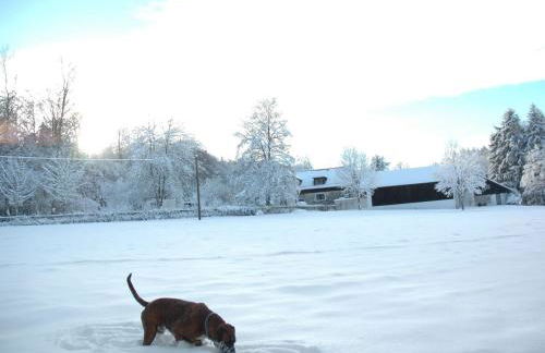 Holiday Home Vanessa by Interhome - Foto 21