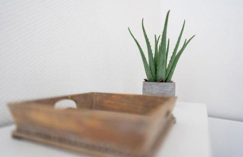 Atlantic Selection - Studio Ocean Side - À 200 mètres de l'Estacade - Foto 29