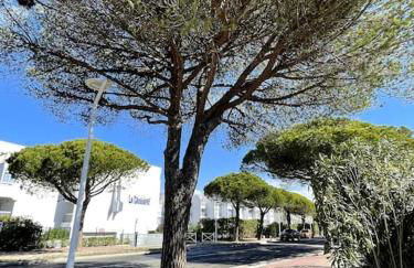 Joli Studio Cabine - Port Camargue - Plage Sud - Photo 13