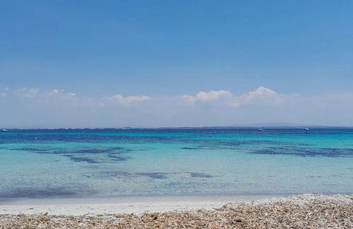 Ale house experience - Foto 61