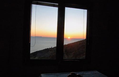 Olive Valley - Foto 19