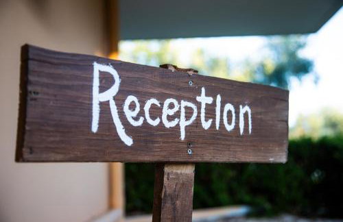 Agroktima Elia - Foto 8