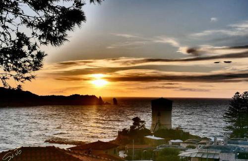 Giglio 2 Le Foglie - Foto 14