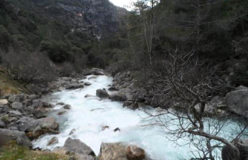 Vtar Pilar 3 - Foto 23