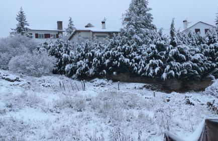 Artesano II - Foto 6