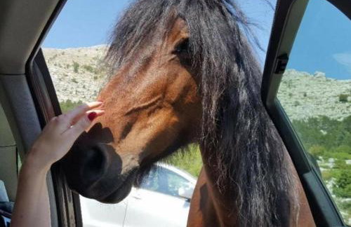 Villa Zara with heated Hydromassage-Pool - Foto 50